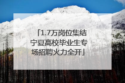 1.7万岗位集结 宁夏高校毕业生专场招聘火力全开