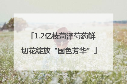 1.2亿枝菏泽芍药鲜切花绽放“国色芳华”