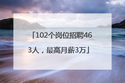 102个岗位招聘463人，最高月薪3万