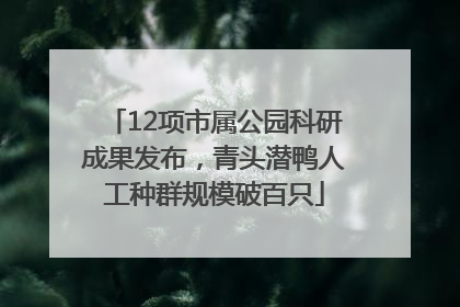 12项市属公园科研成果发布，青头潜鸭人工种群规模破百只