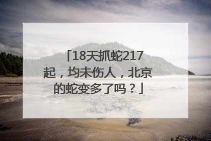 18天抓蛇217起，均未伤人，北京的蛇变多了吗？
