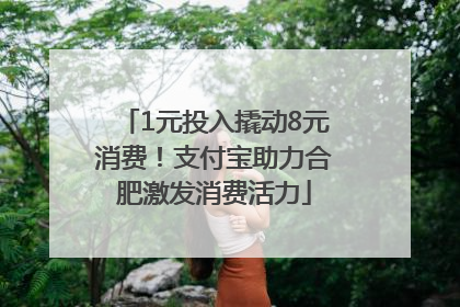 1元投入撬动8元消费！支付宝助力合肥激发消费活力