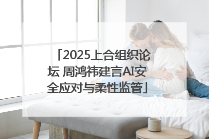 2025上合组织论坛 周鸿祎建言AI安全应对与柔性监管