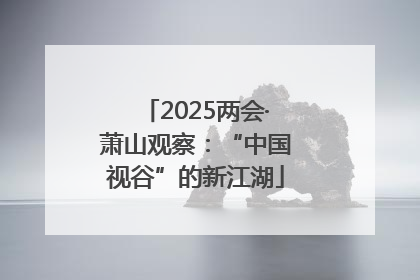 2025两会·萧山观察：“中国视谷”的新江湖