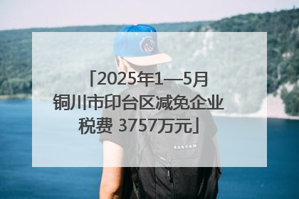 2025年1—5月铜川市印台区减免企业税费 3757万元