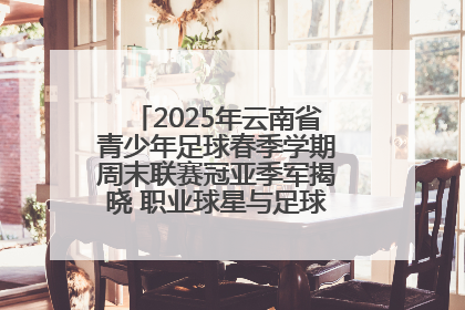 2025年云南省青少年足球春季学期周末联赛冠亚季军揭晓 职业球星与足球小将共享荣耀时刻