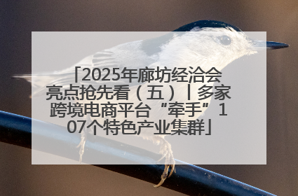 2025年廊坊经洽会亮点抢先看（五）丨多家跨境电商平台“牵手”107个特色产业集群