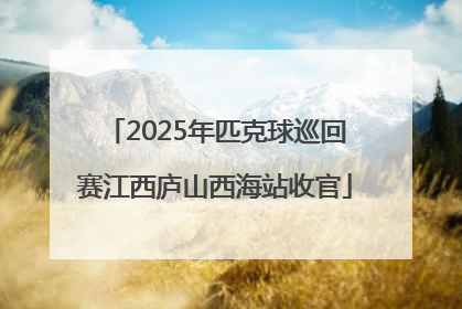 2025年匹克球巡回赛江西庐山西海站收官