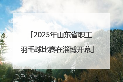 2025年山东省职工羽毛球比赛在淄博开幕