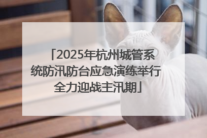 2025年杭州城管系统防汛防台应急演练举行 全力迎战主汛期