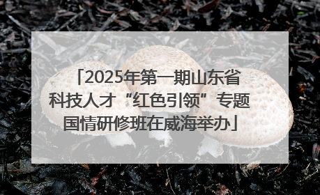 2025年第一期山东省科技人才“红色引领”专题国情研修班在威海举办