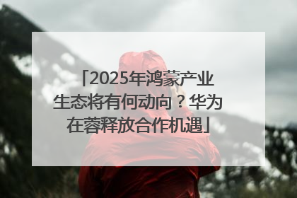 2025年鸿蒙产业生态将有何动向？华为在蓉释放合作机遇