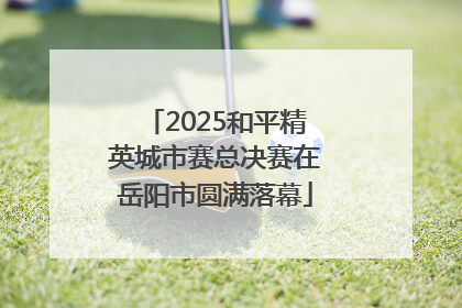 2025和平精英城市赛总决赛在岳阳市圆满落幕