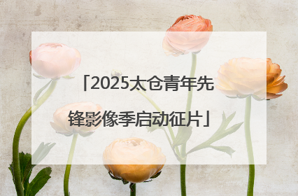 2025太仓青年先锋影像季启动征片