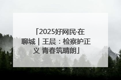 2025好网民·在聊城｜王晨：检察护正义 青春筑晴朗