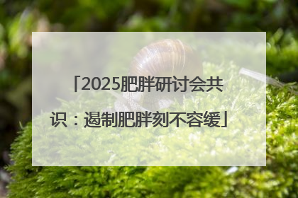 2025肥胖研讨会共识：遏制肥胖刻不容缓