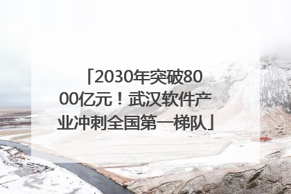 2030年突破8000亿元！武汉软件产业冲刺全国第一梯队