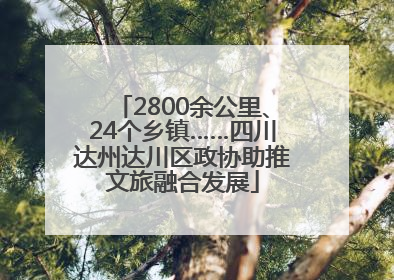 2800余公里、24个乡镇……四川达州达川区政协助推文旅融合发展
