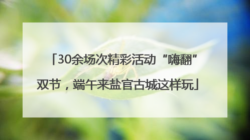 30余场次精彩活动“嗨翻”双节，端午来盐官古城这样玩