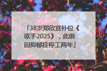 38岁郑欣宜补位《歌手2025》，此前因抑郁症停工两年