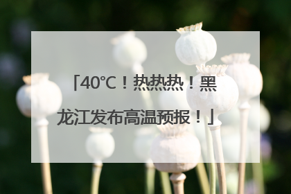 40℃！热热热！黑龙江发布高温预报！