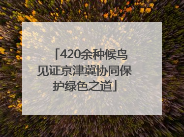 420余种候鸟见证京津冀协同保护绿色之道