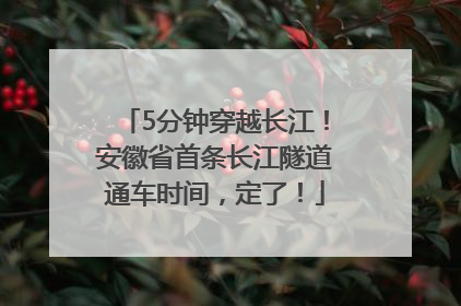 5分钟穿越长江！安徽省首条长江隧道通车时间，定了！
