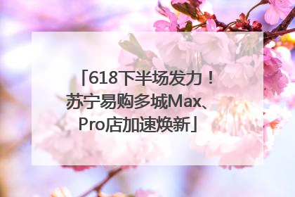 618下半场发力！苏宁易购多城Max、Pro店加速焕新