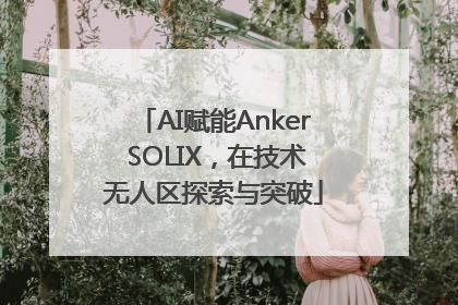 AI赋能Anker SOLIX，在技术无人区探索与突破