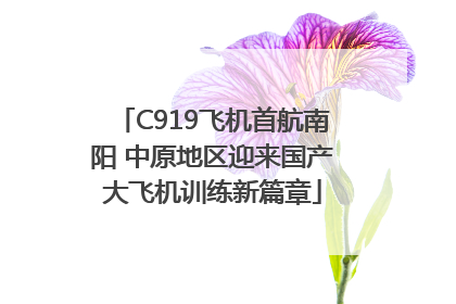 C919飞机首航南阳 中原地区迎来国产大飞机训练新篇章