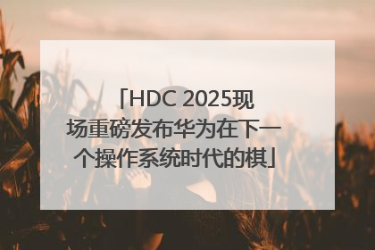 HDC 2025现场重磅发布华为在下一个操作系统时代的棋