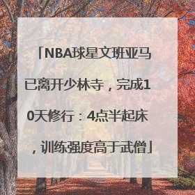 NBA球星文班亚马已离开少林寺，完成10天修行：4点半起床，训练强度高于武僧