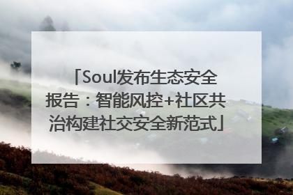 Soul发布生态安全报告：智能风控+社区共治构建社交安全新范式