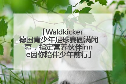 Waldkicker德国青少年足球赛圆满闭幕，指定营养伙伴inne因你陪伴少年前行